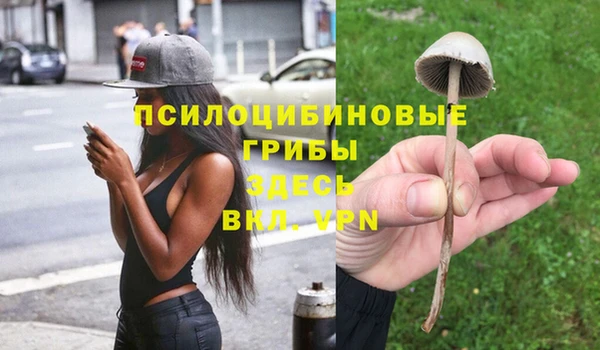 винт Краснослободск