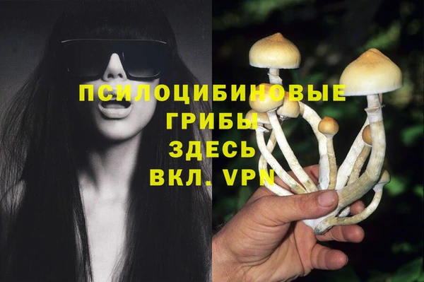 дурь Красноперекопск