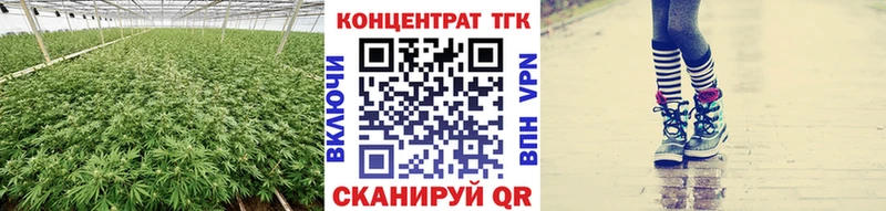 Купить где  Кохма  ТГК концентрат 