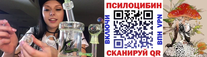 Псилоцибиновые грибы прущие грибы  Купить  Кохма 